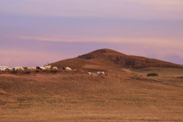 Eco-Friendly Adventures: Exploring the Outdoors Sustainably